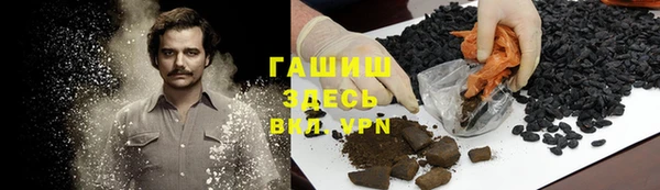 мет Алексин
