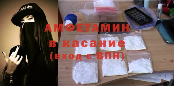 мет Алексин