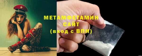 мет Алексин