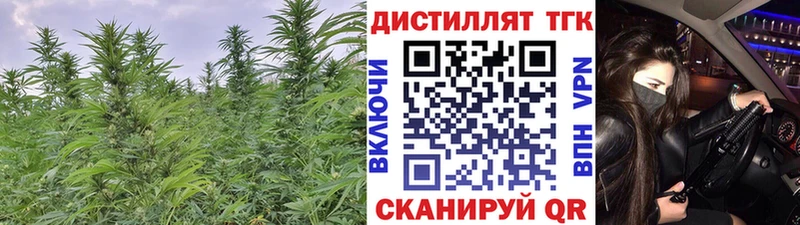 Дистиллят ТГК Wax  Дмитров 