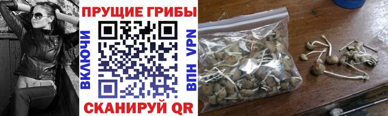 Псилоцибиновые грибы GOLDEN TEACHER  Дмитров 