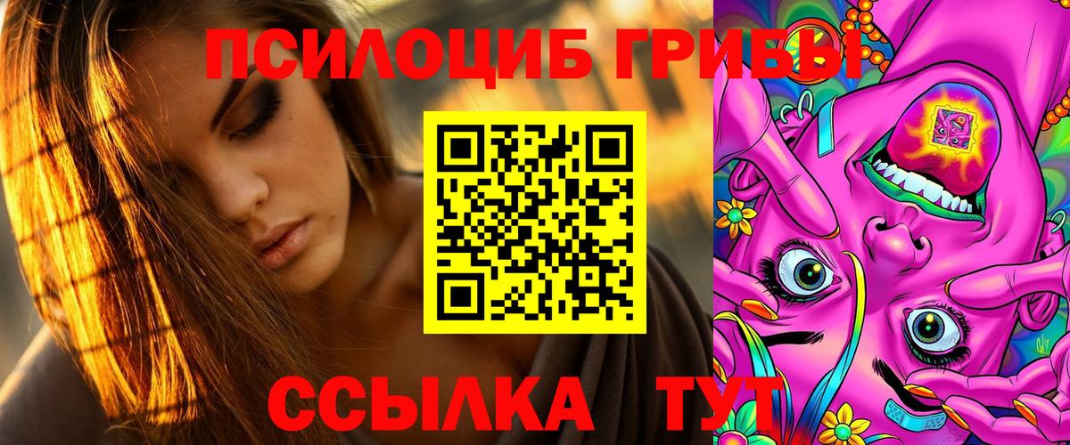 Псилоцибиновые грибы Cubensis  Вход с VPN  Псилоцибиновые грибы Psilocybine cubensis  Дмитров 